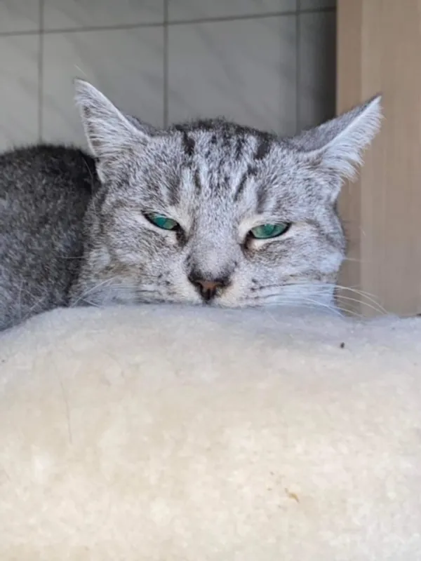 image1000052